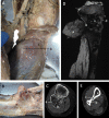 Fig. 3