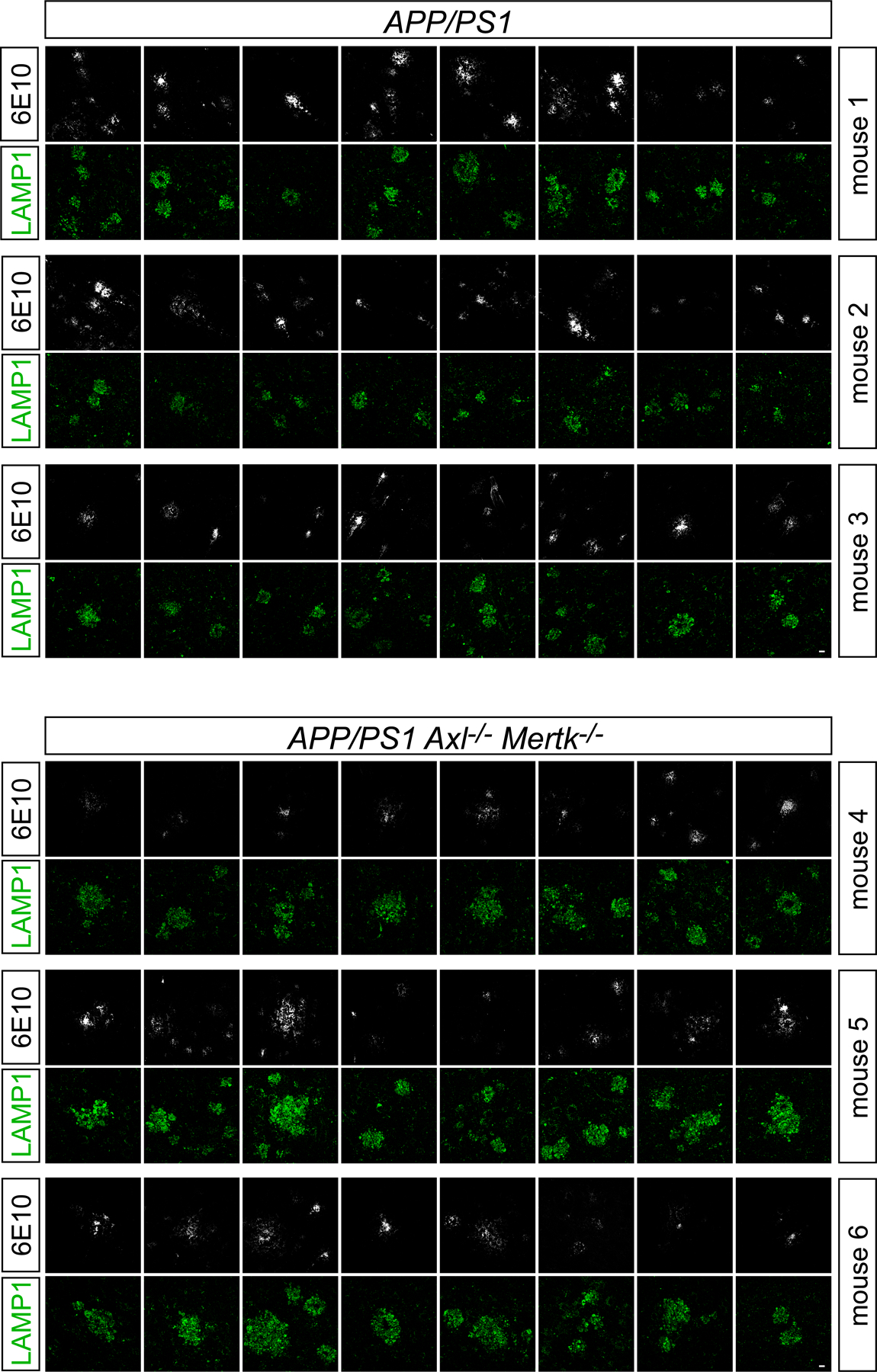 Extended Data Fig. 5