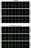 Extended Data Fig. 5