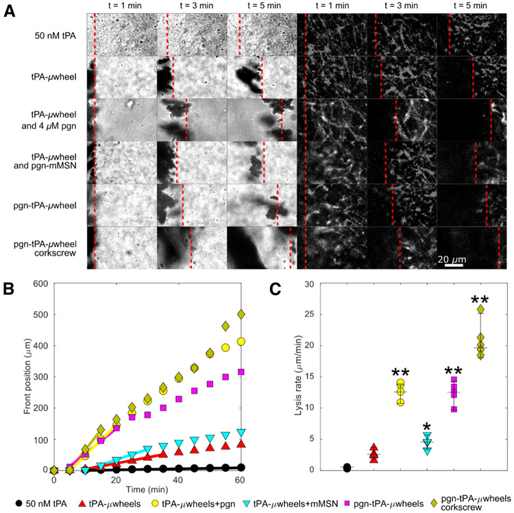 Fig. 4: