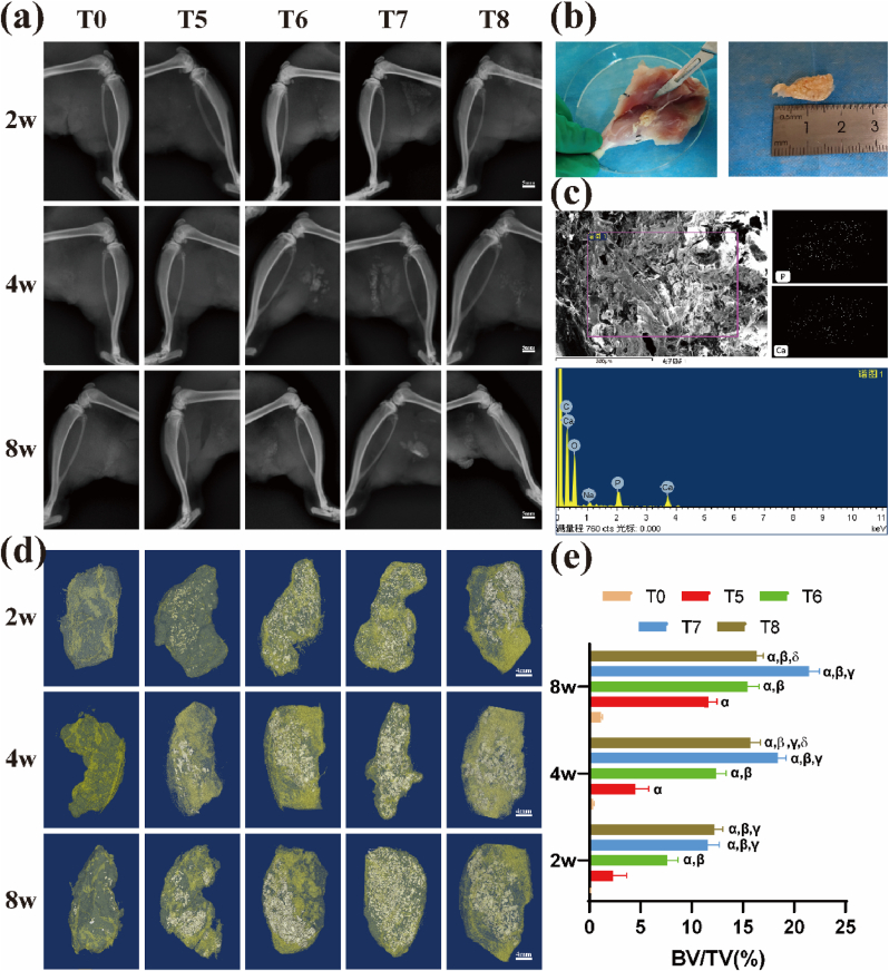 Fig. 4