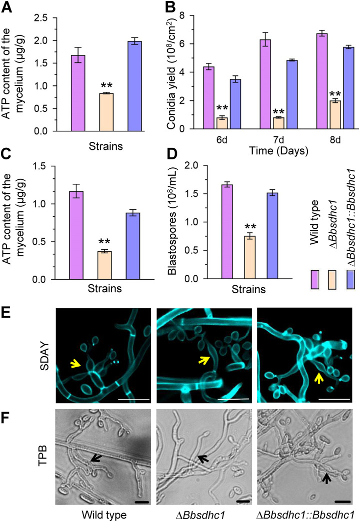 FIG 3