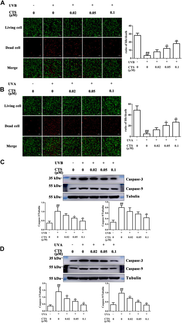 FIGURE 4