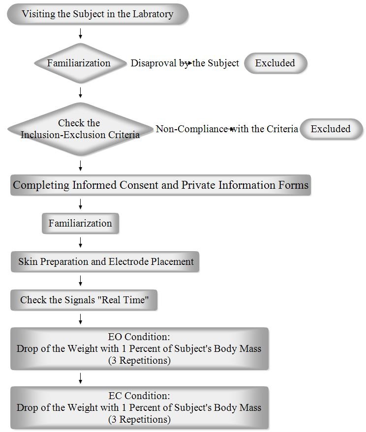 
Flowchart 1
