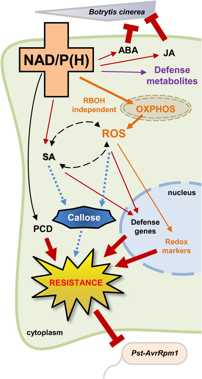 Figure 7.