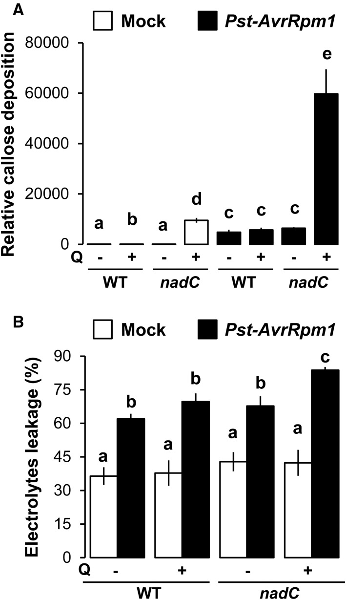 Figure 5.