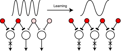 Fig. 7.