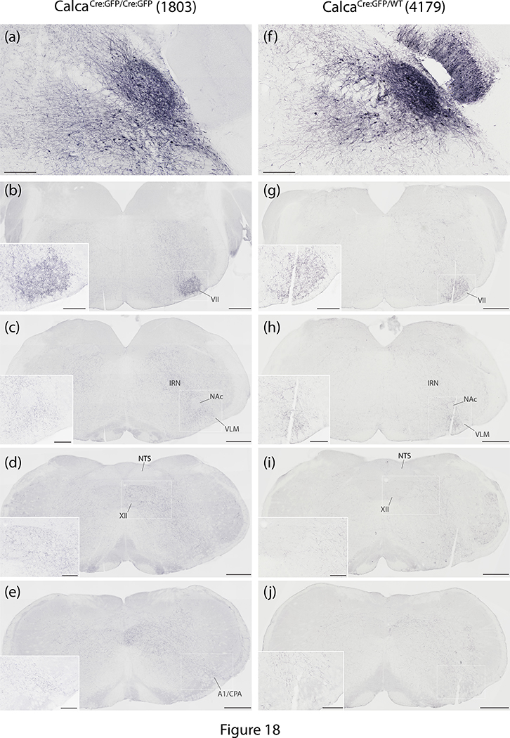 Figure 18.