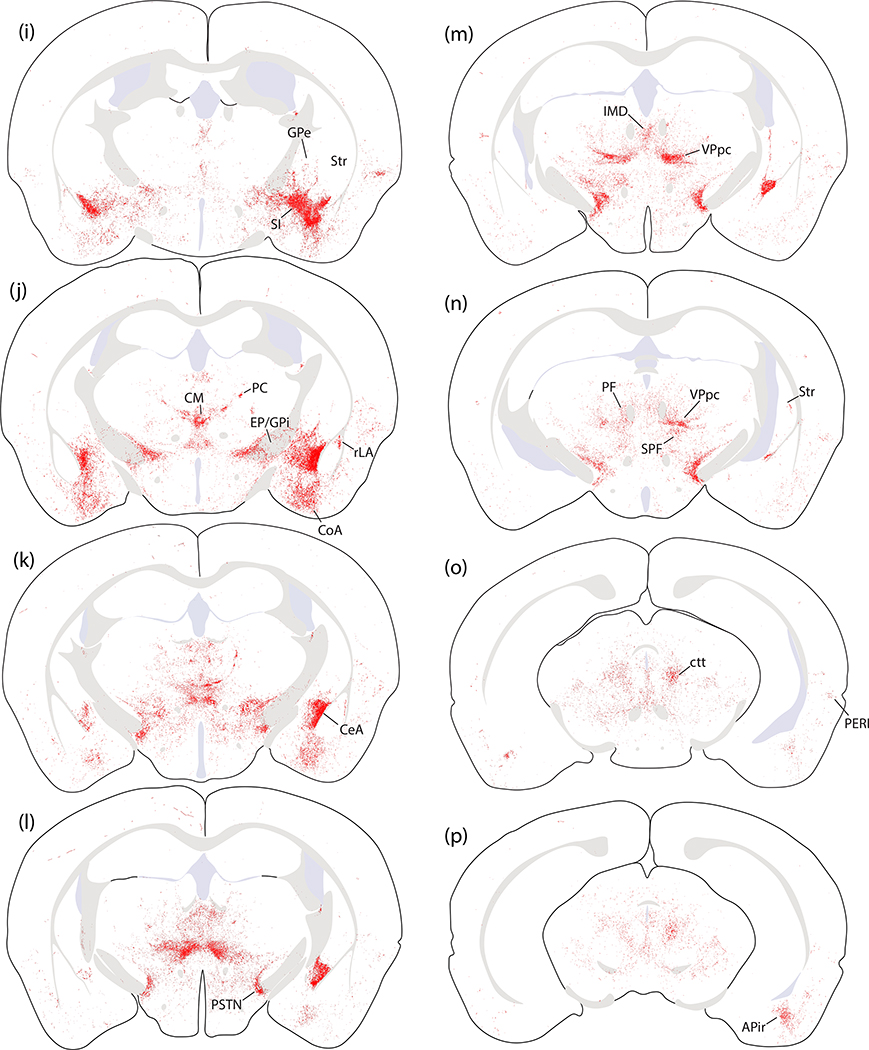 Figure 12.