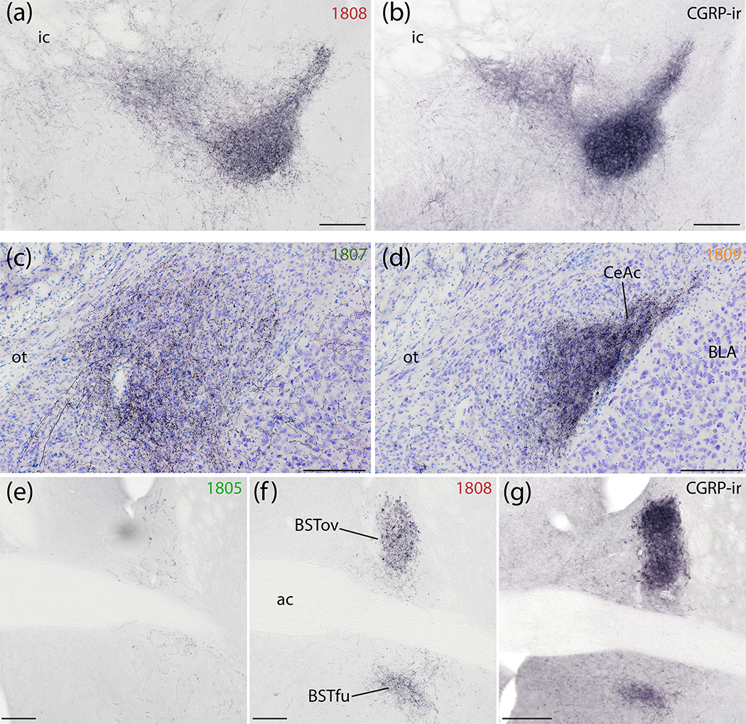 Figure 14.