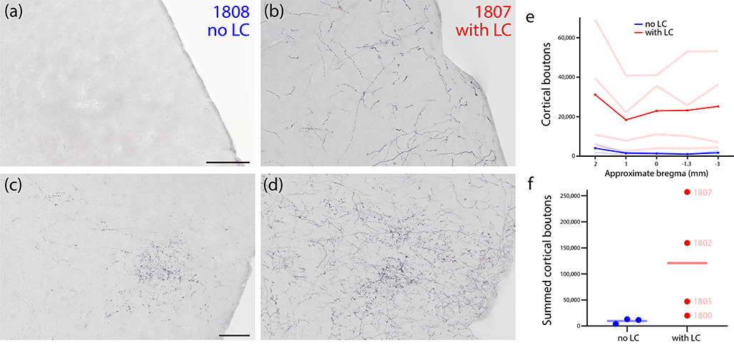 Figure 13.