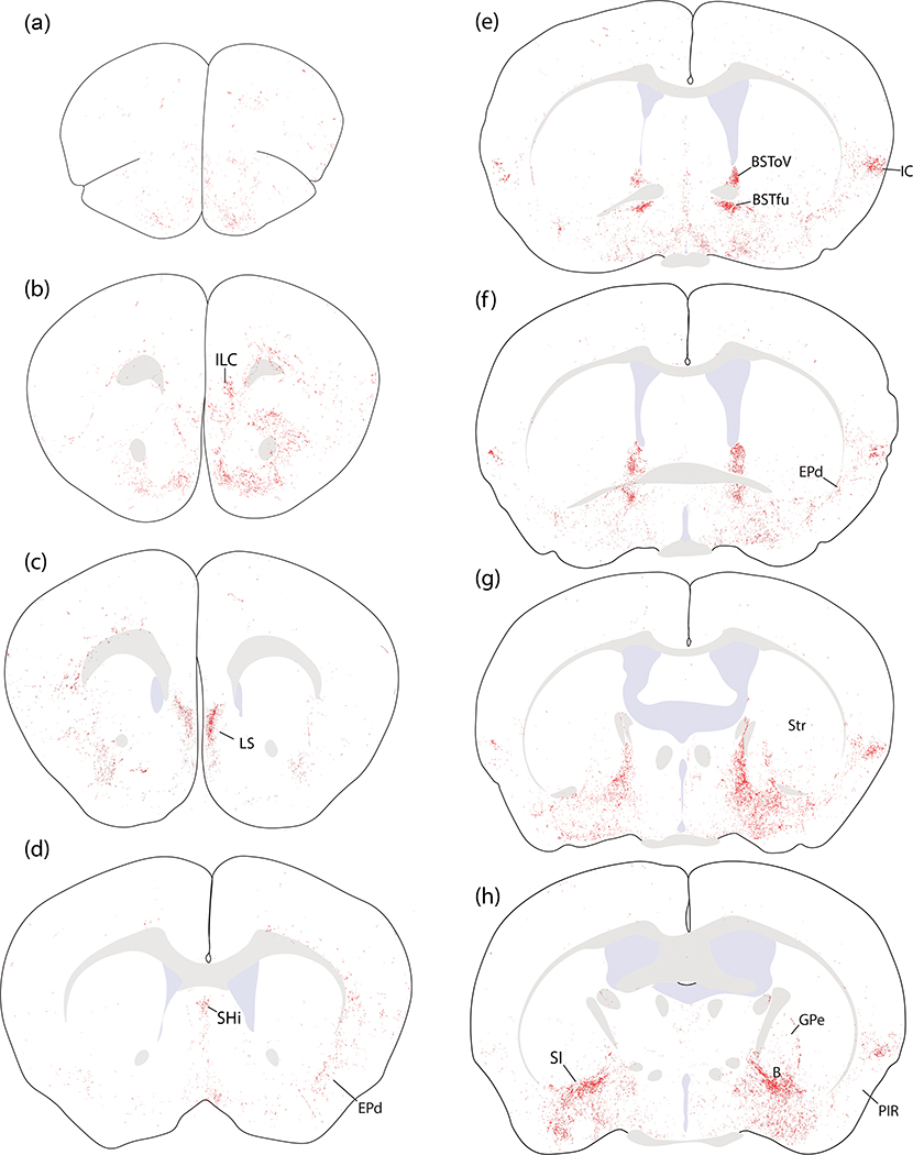 Figure 12.