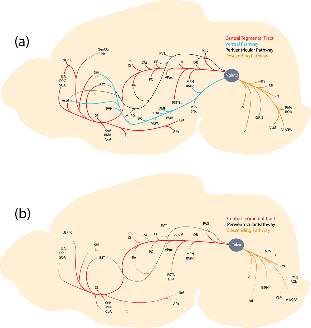 Figure 19.