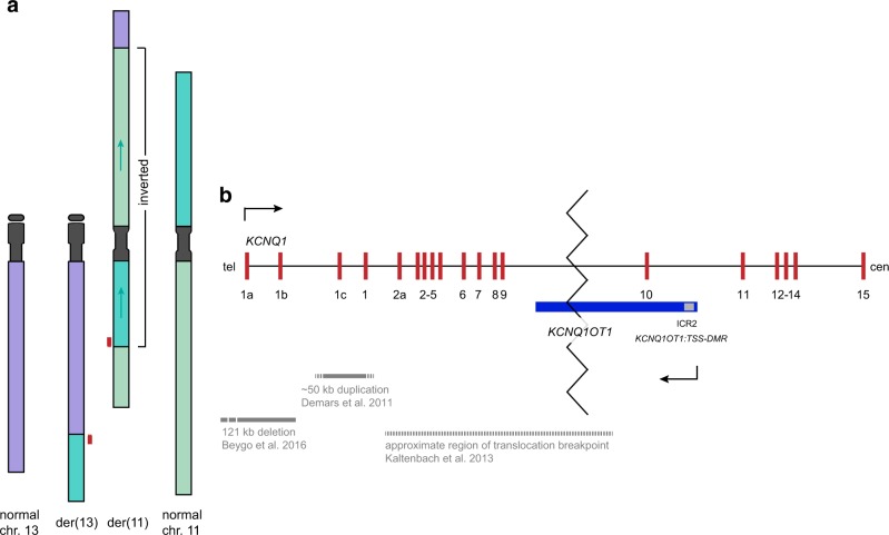 Fig. 2