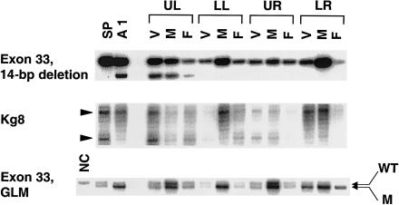 Figure  4