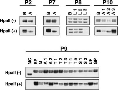 Figure  6