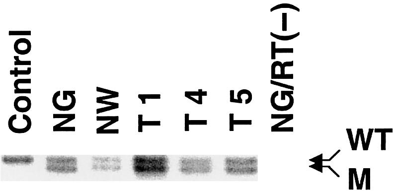 Figure  3