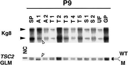 Figure  2