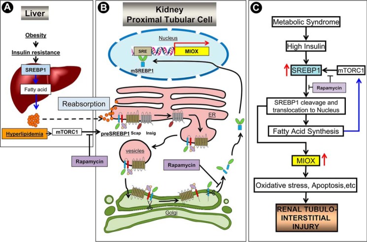 FIGURE 10.