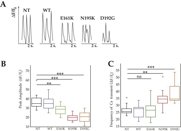 Figure 4