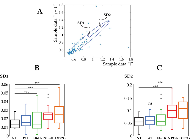 Figure 2