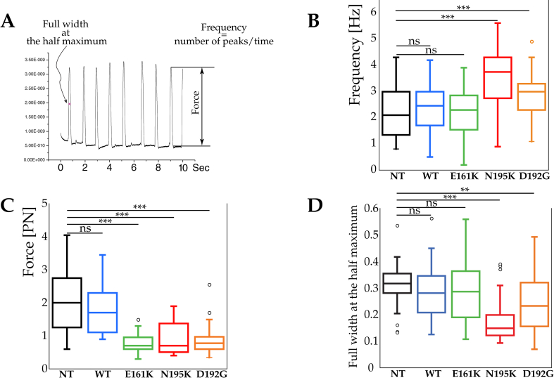 Figure 1