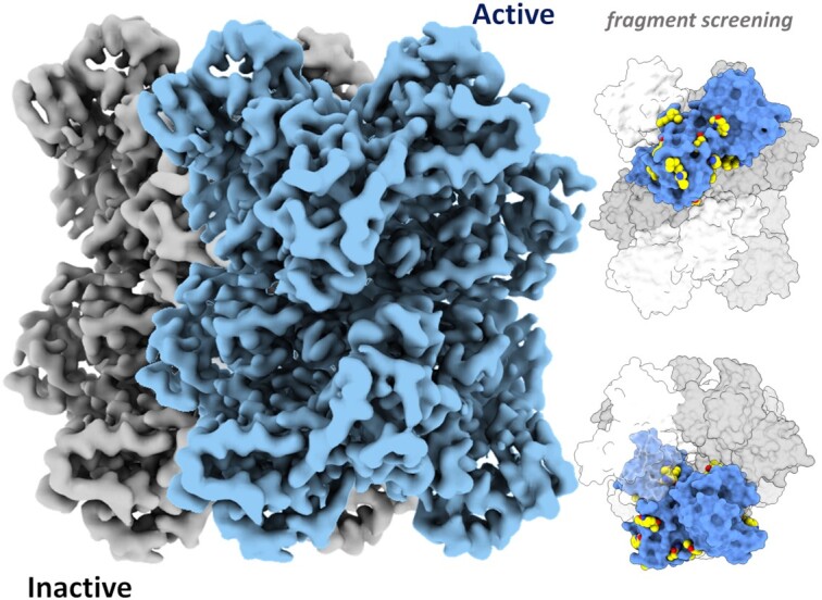 Graphical Abstract