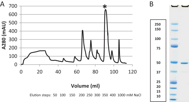 FIG 1