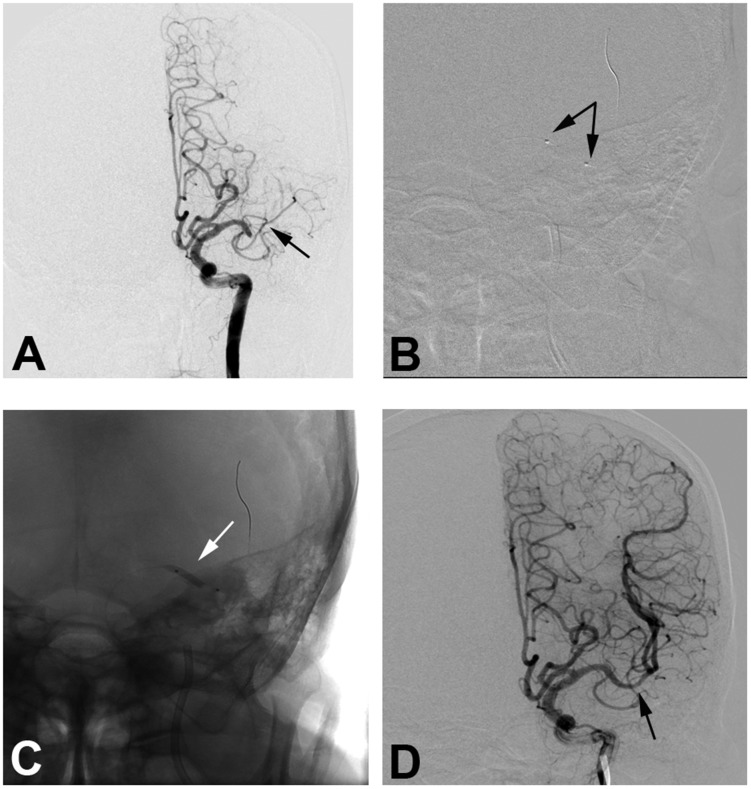 Figure 2.