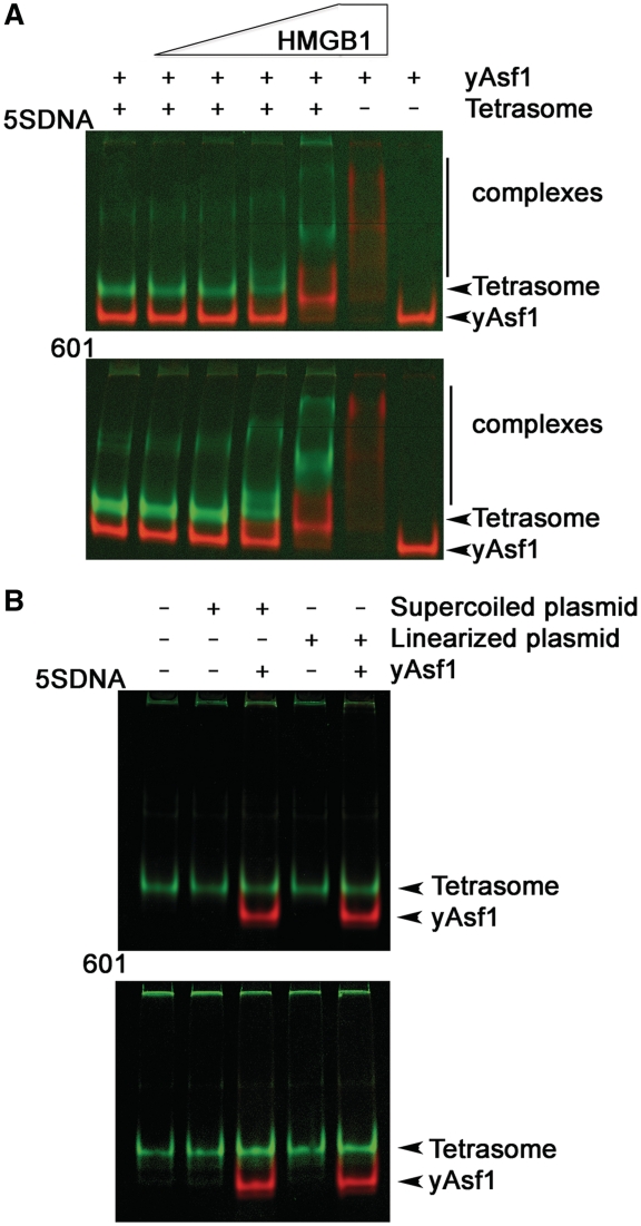 Figure 3.