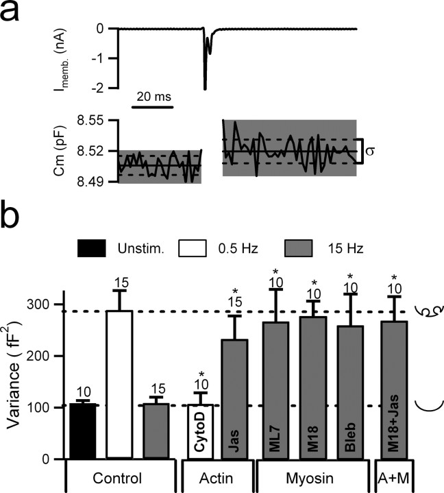 Figure 5.