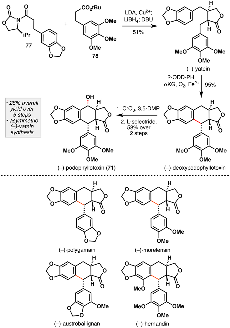 Figure 20.