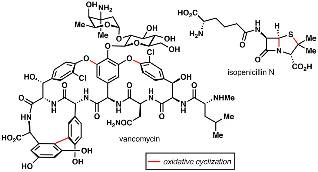 Figure 17.