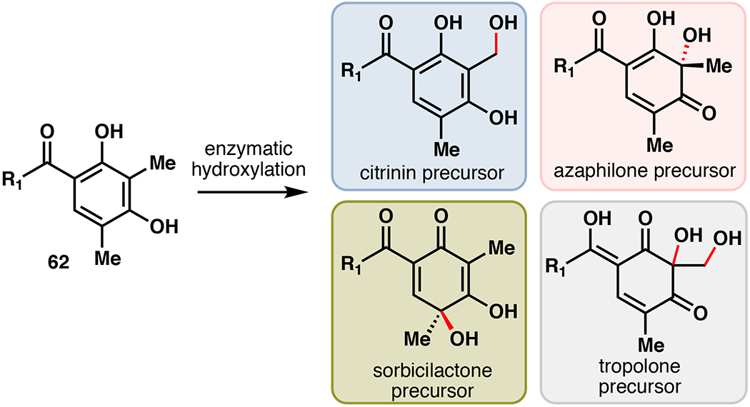 Figure 14.