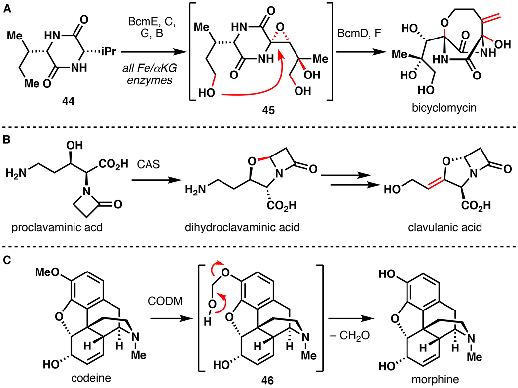 Figure 11.