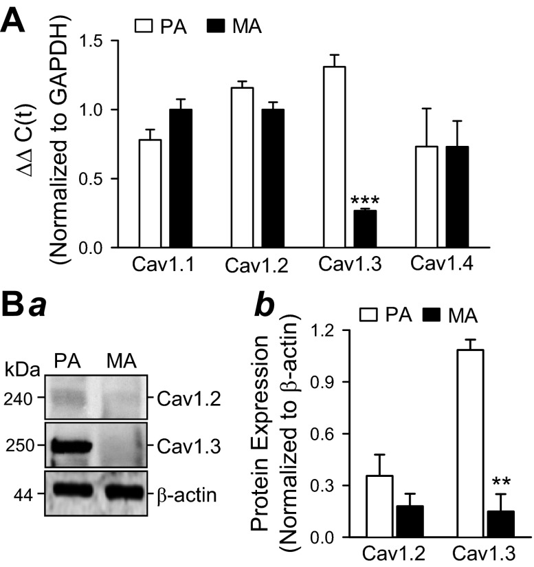 Fig. 8.