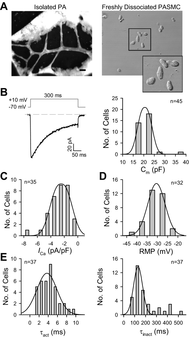 Fig. 2.