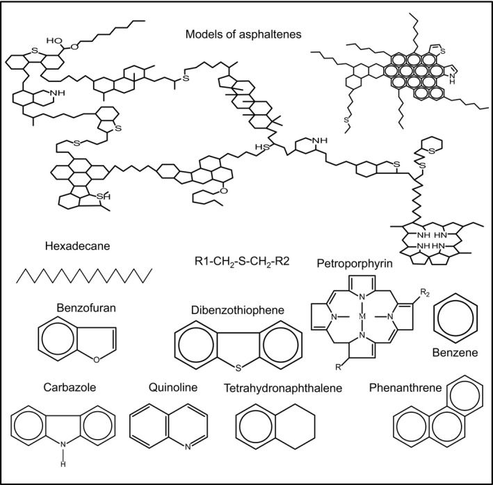 Simultaneous Valorization And Biocatalytic Upgrading Of Heavy Vacuum 