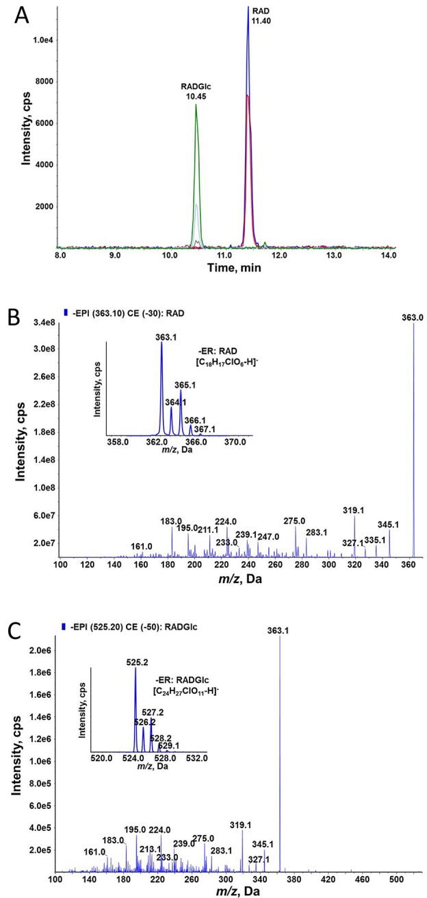 Figure 6