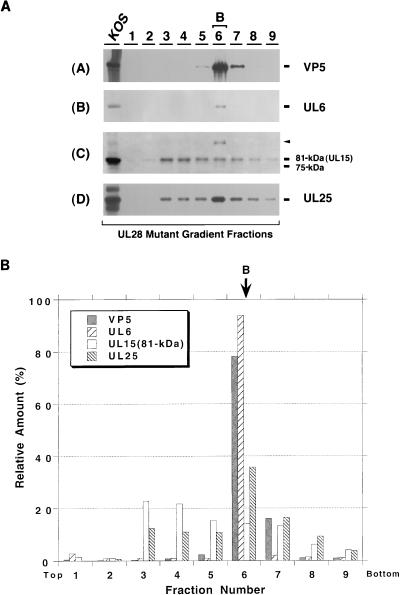 FIG. 9