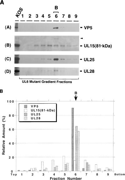 FIG. 6