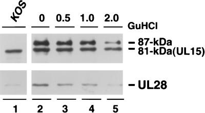 FIG. 11