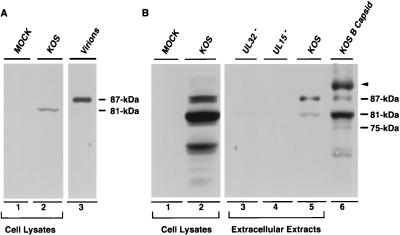 FIG. 5