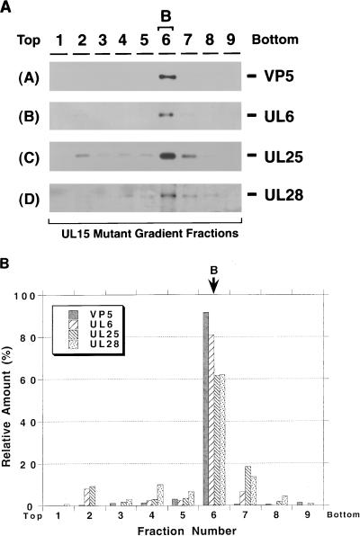 FIG. 7