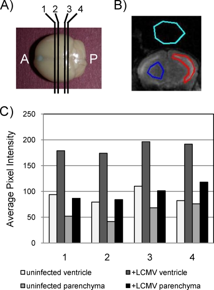 FIG. 5.