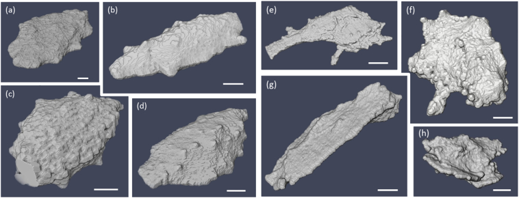 Fig. 5