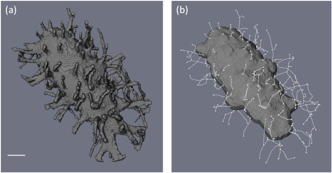 Fig. 9