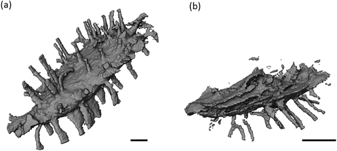 Fig. 8