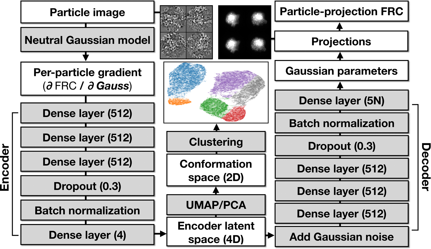 Extended Data Fig 8.