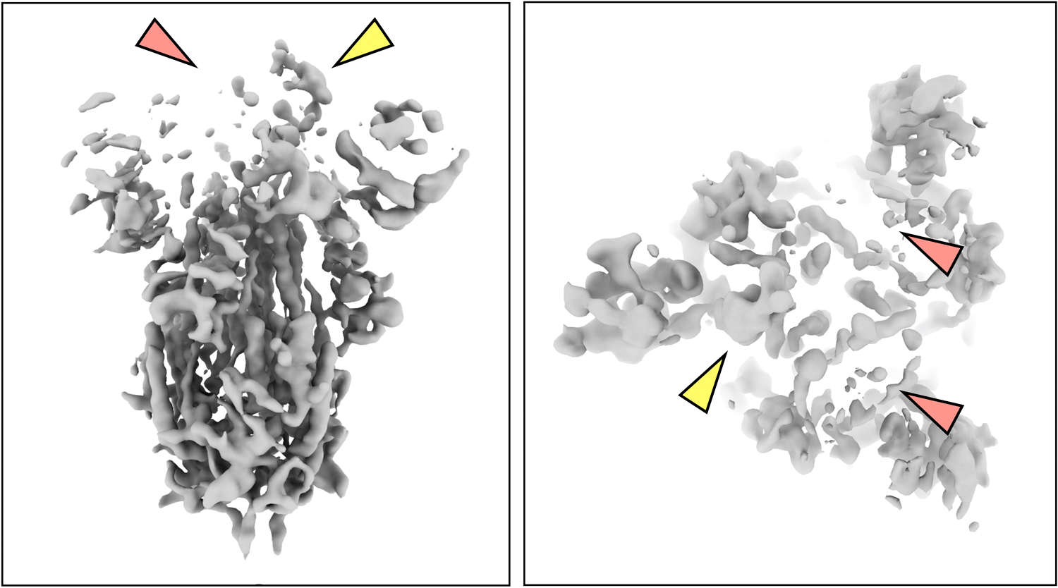 Extended Data Fig 2.